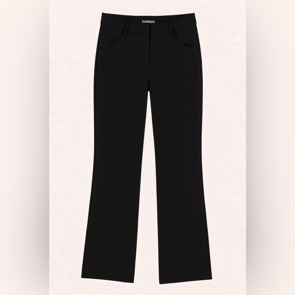 Express Pants - Express the Editor Black Skinny leg dress pants